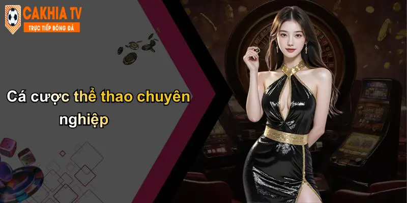 Trang chủ 113 Cá cược thể thao chuyên nghiệp