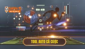 Tool auto cá cược